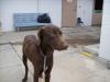 Hanford mix1